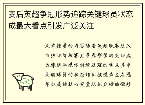 赛后英超争冠形势追踪关键球员状态成最大看点引发广泛关注 赛后英超争冠形势追踪关键球员状态成最大看点引发广泛关注