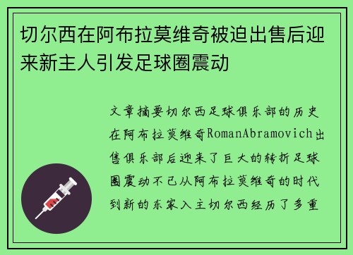切尔西在阿布拉莫维奇被迫出售后迎来新主人引发足球圈震动